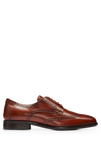 BOSS - COLBY Brown DERBY SHOES IN LEATHER WITH BROGUE DETAILS 50503609 210