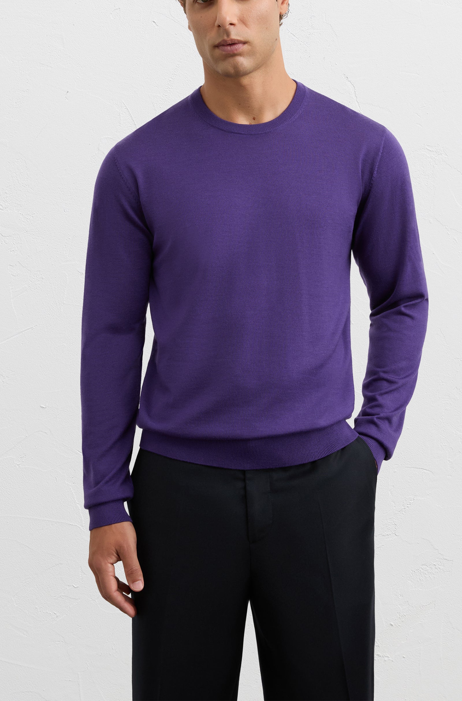 PAL ZILERI - Violet Wool Crew Neck Sweater