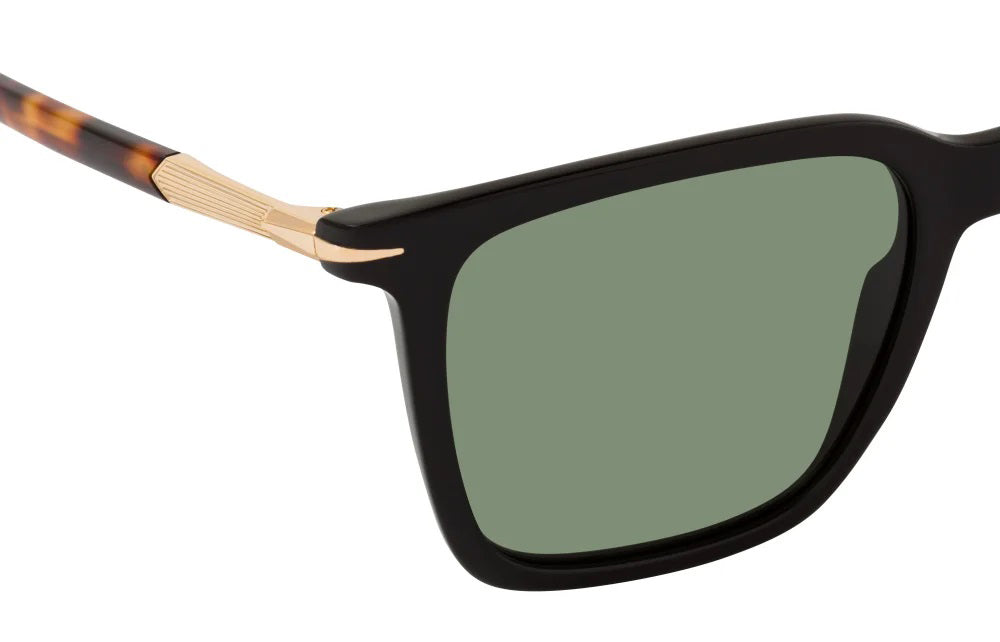 DAVID BECKHAM SUNGLASSES - DB1130/S WR7 in Black Havana