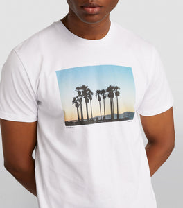 7 FOR ALL MANKIND - White Photographic T-Shirt With Palm Tree Print JSLM332GWP