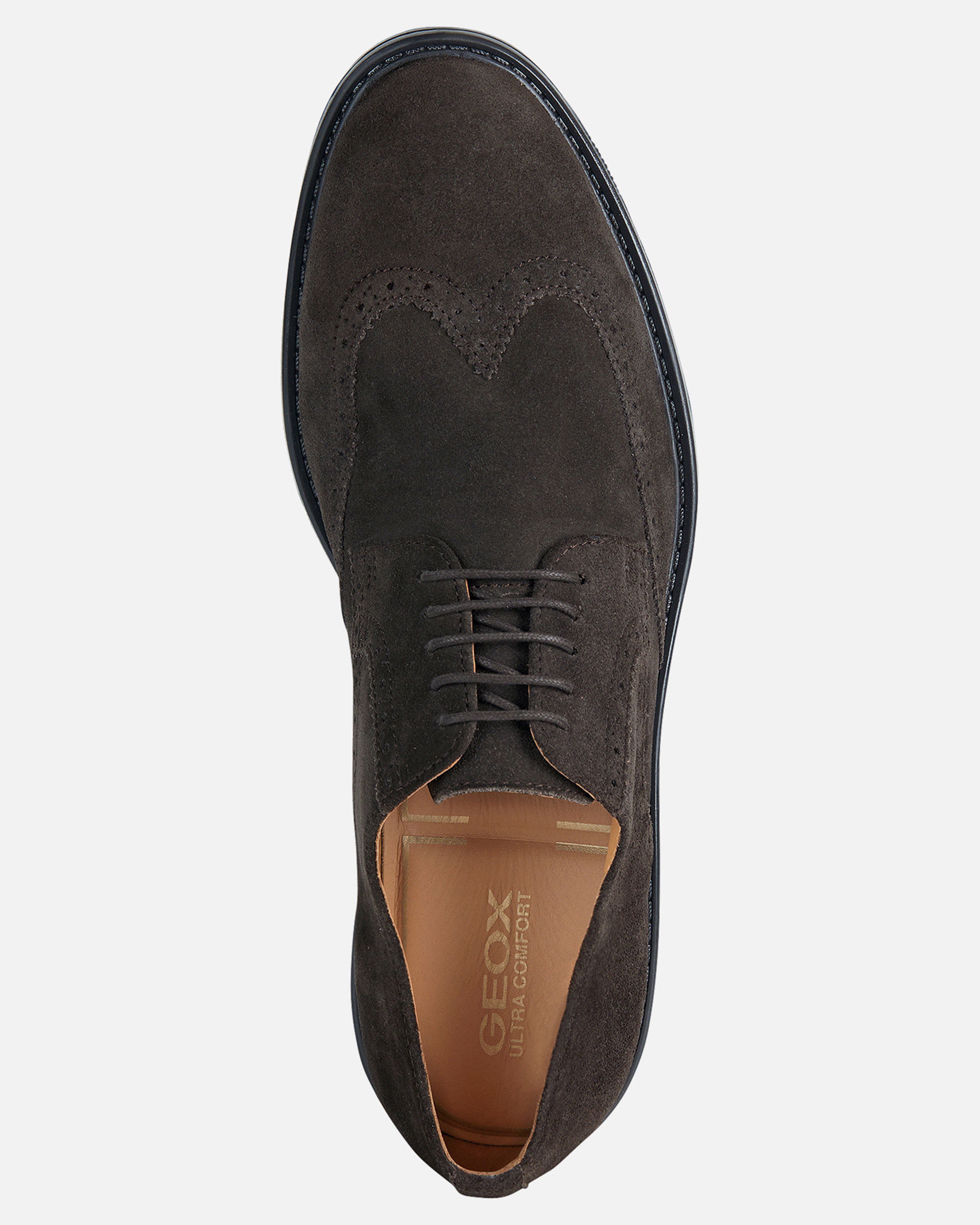 GEOX - WALK PLEASURE Dark Brown Suede Brogues